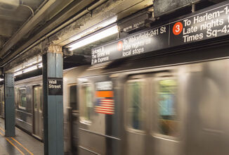 بين ذعر بعض الركاب وتجاهل آخرين...راكب يتنقل في مترو أنفاق نيويورك مع ثعبانين ضخمين